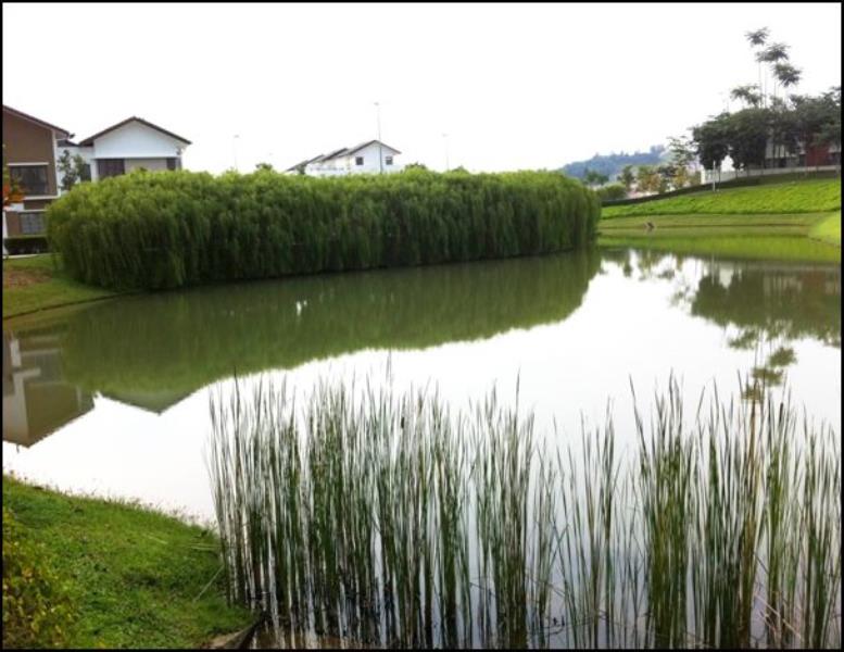 The Lakes Link Bungalows